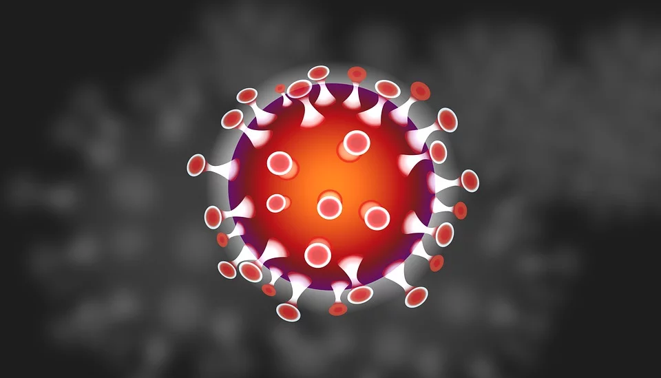 coronavirus